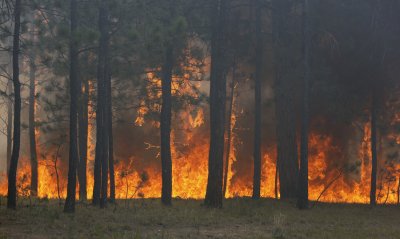 15 june 2013: black forest fire