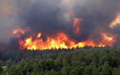 15 june 2013: black forest fire