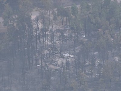 15 june 2013: black forest fire